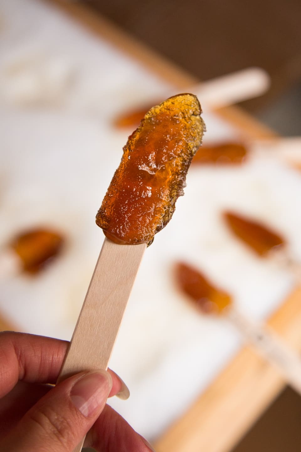 Shutterstock 1357100789